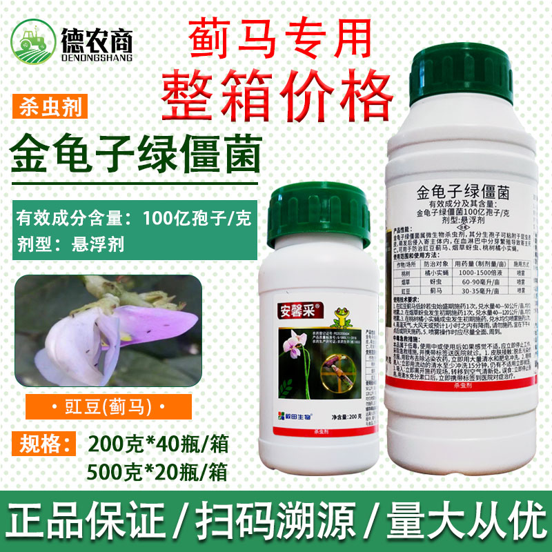 毅田安馨采金龟子绿僵菌苗豇豆桃树蚜虫针蜂蓟马专用药杀虫剂农药