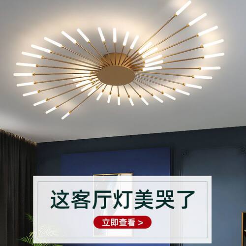 2026新款现代简约轻奢烟花吸顶灯