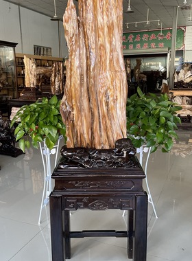 缅甸树化玉原石镇宅招财11570号木化石树化石天然硅化木奇石摆件