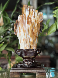 缅甸树化玉原石镇宅招财128873号木化石树化石天然硅化木奇石摆件