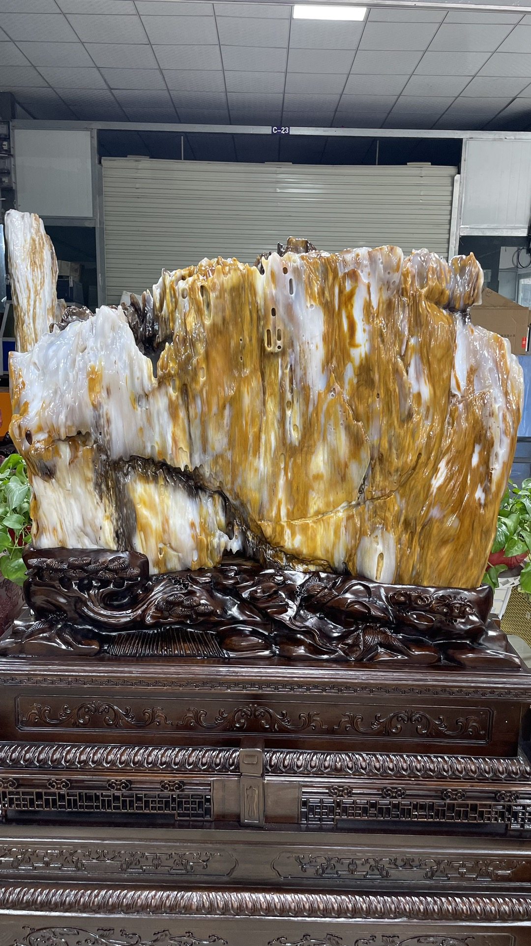 缅甸树化玉原石镇宅招财50532号木化石树化石天然硅化木奇石摆件