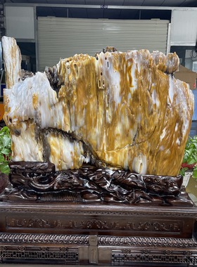 缅甸树化玉原石镇宅招财50532号木化石树化石天然硅化木奇石摆件