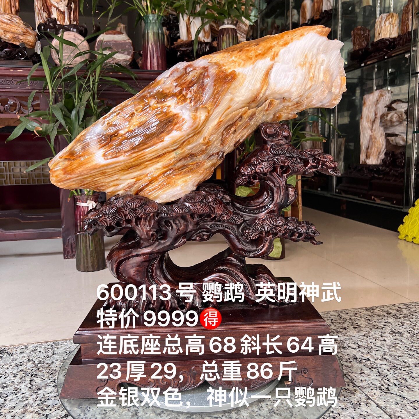 缅甸树化玉原石镇宅招财600113号木化石树化石天然硅化木奇石摆件