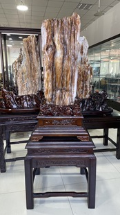 缅甸树化玉原石镇宅招财12731号木化石树化石天然硅化木奇石摆件