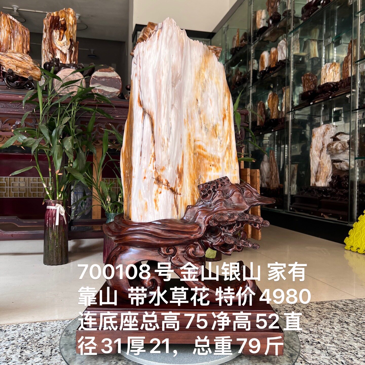 缅甸树化玉原石镇宅招财700108号木化石树化石天然硅化木奇石摆件