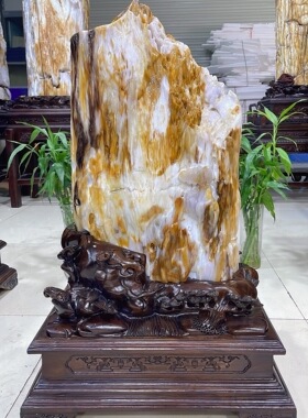 缅甸树化玉原石镇宅招财70714号木化石树化石天然硅化木奇石摆件