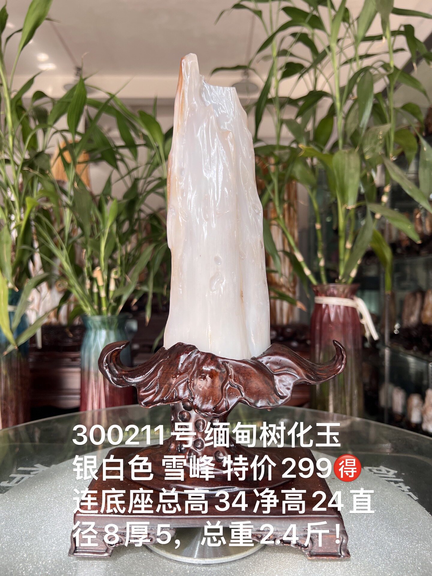 缅甸树化玉原石镇宅招财300211号木化石树化石天然硅化木奇石摆件