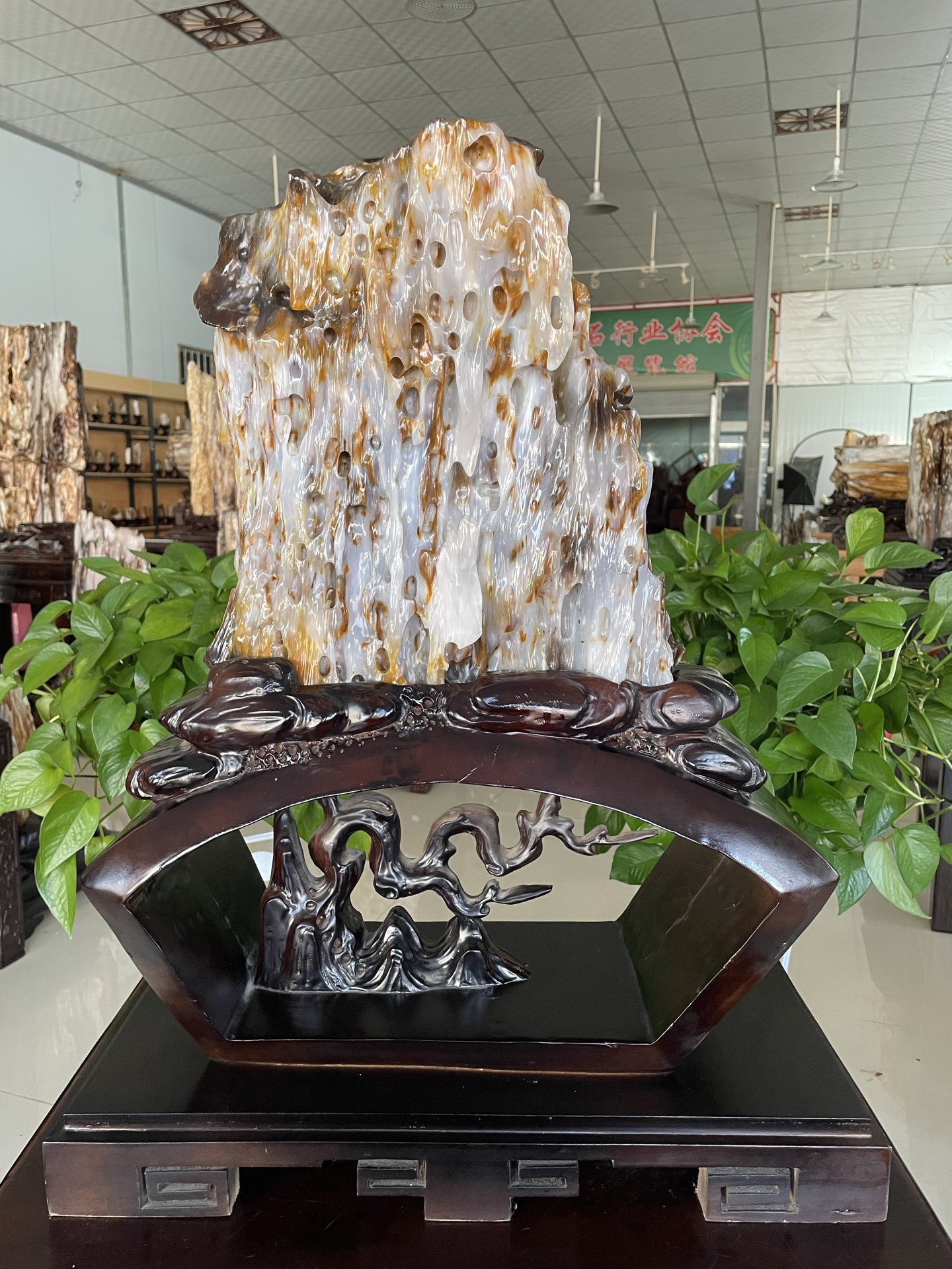 缅甸树化玉原石镇宅招财10384号木化石树化石天然硅化木奇石摆件,家居饰品,桌面摆件,淘宝优惠券,粉丝福利购,淘宝优惠卷