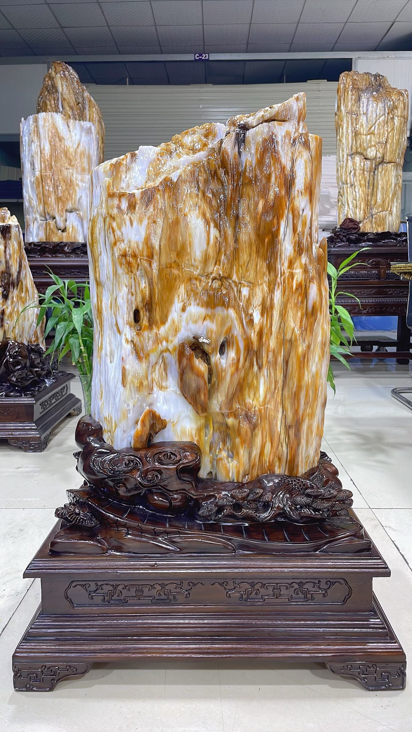 缅甸树化玉原石镇宅招财70914号木化石树化石天然硅化木奇石摆件