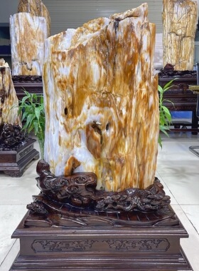 缅甸树化玉原石镇宅招财70914号木化石树化石天然硅化木奇石摆件