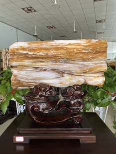 缅甸树化玉原石镇宅招财11884号木化石树化石天然硅化木奇石摆件