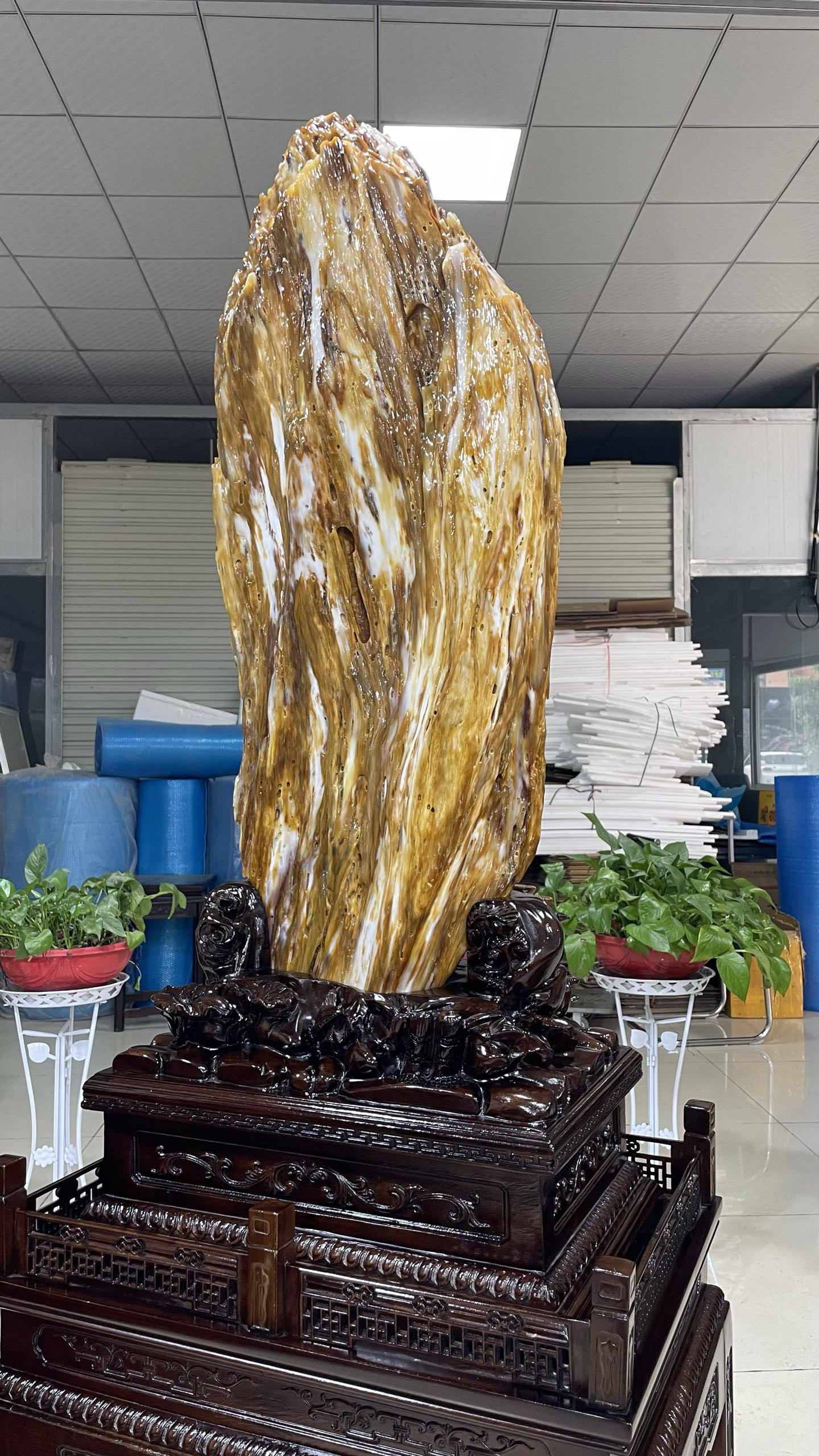 缅甸树化玉原石镇宅招财X4470号木化石树化石天然硅化木奇石摆件