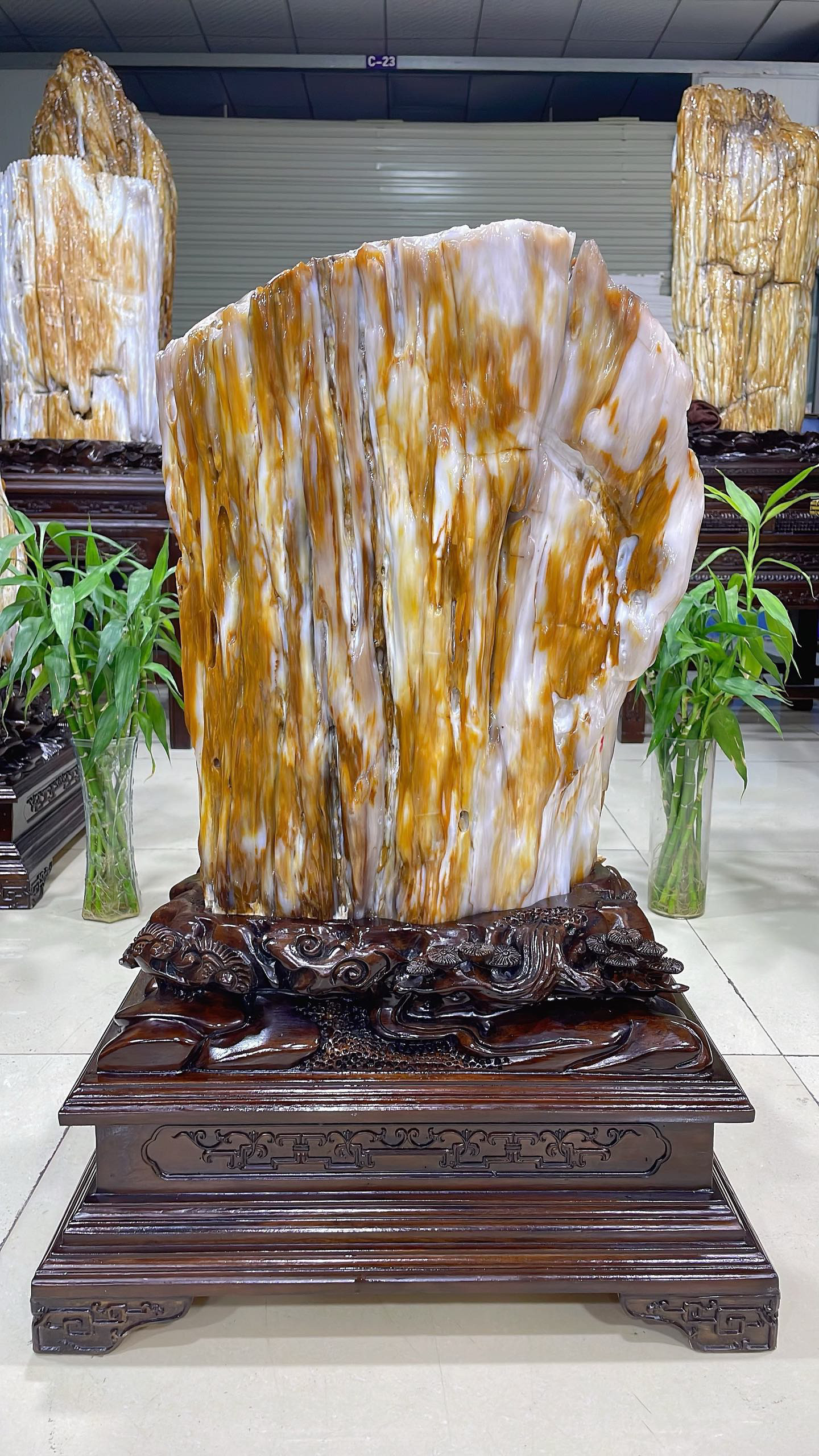 缅甸树化玉原石镇宅招财70711号木化石树化石天然硅化木奇石摆件