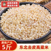 兵小强新米东北高粱米5斤新米农家自产食用新粮粗粮高粱酿酒高粱