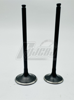 无极300R 300RR AC 300GY 30F300正洲气门 进排气门