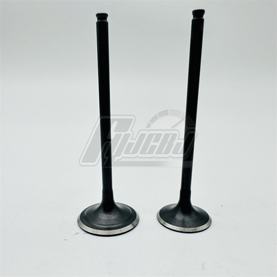 无极300R 300RR AC 300GY 30F300正洲气门 进排气门