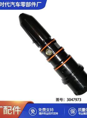 3074763重庆康明斯NT855柴油发动机喷油器总成3047973