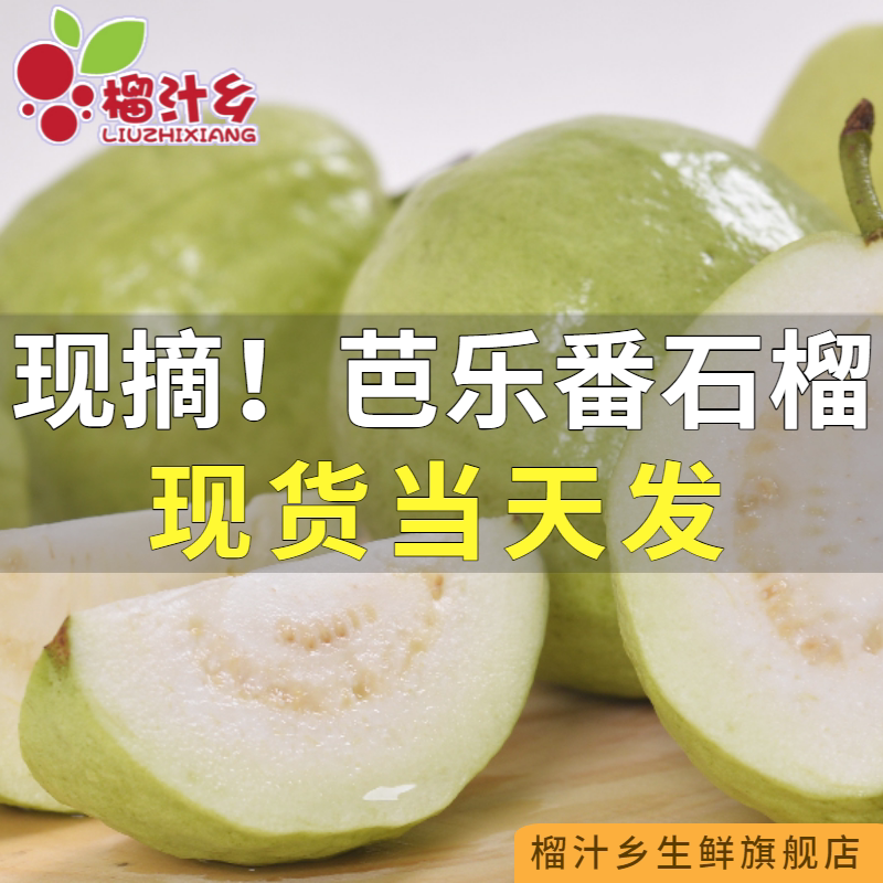【榴汁乡】芭乐番石榴新鲜现摘云南白心芭乐热带孕妇水果软糯香甜