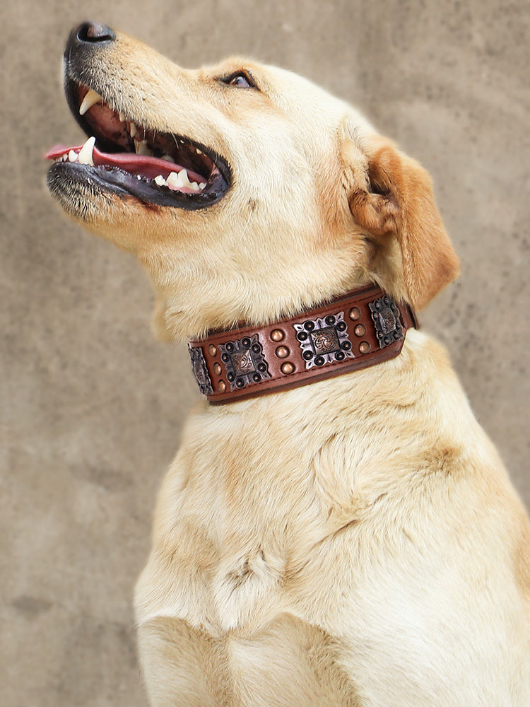 狗狗防咬铆钉项圈中大型犬卡斯罗恶霸犬防咬脖圈杜高马犬狼狗颈圈