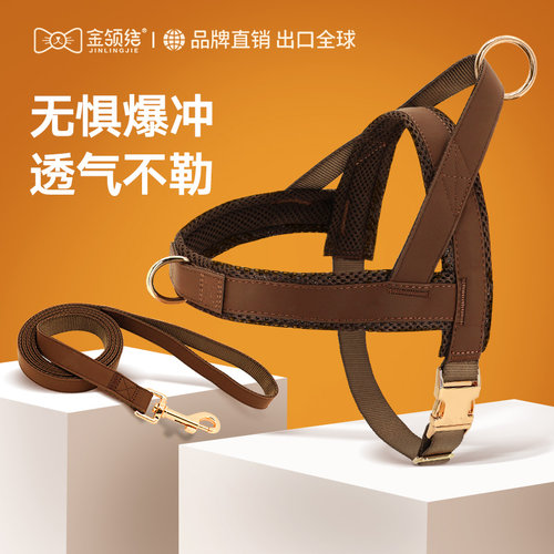 金领结狗狗牵引绳胸背带