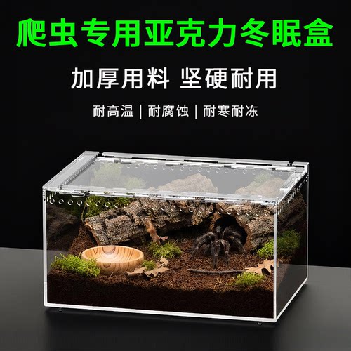 爬虫专用亚克力冬眠盒爬宠饲养箱
