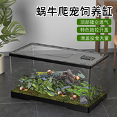蜗牛饲养箱爬宠守宫蜥蜴乌龟甲虫蚕蜗牛小别墅生态造景透明饲养盒