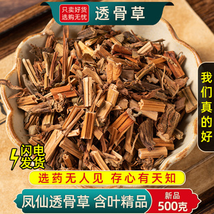 野生凤仙透骨草中药材500g/250正品新货含叶风仙透骨草中草药