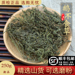 鹅不食草250g中药材新鲜鹅不食草药干鹅不吃草可打粉末喷剂非10g