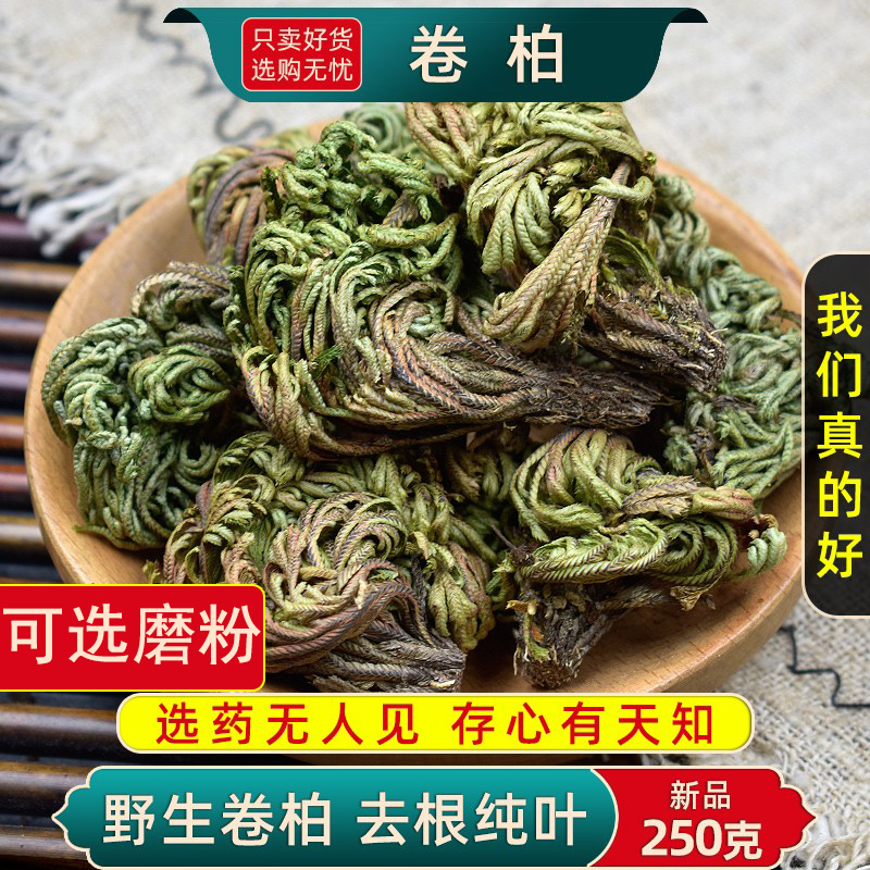 精选卷柏中药材正品无硫新货