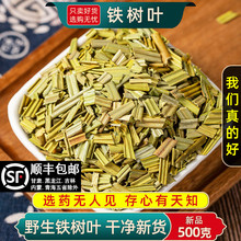 野生铁树叶中药材500克/250/100g铁树叶干货药材新货精选铁树叶