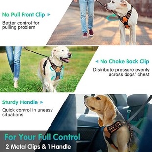 Vest Smal Harness Walking Dog Reflective Cst Leash Cls