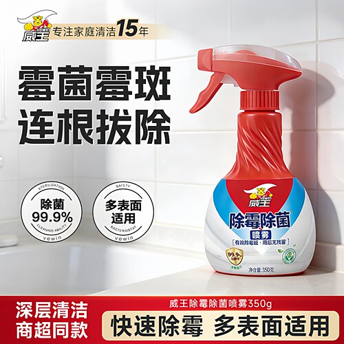 墙体墙面去霉斑除霉菌喷雾除霉剂