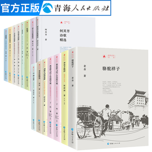 精选小说集时代记忆文丛名家经典 全17册中国现当代文学作品经典 包邮 短篇小说集畅销书排行榜正版 中篇小说