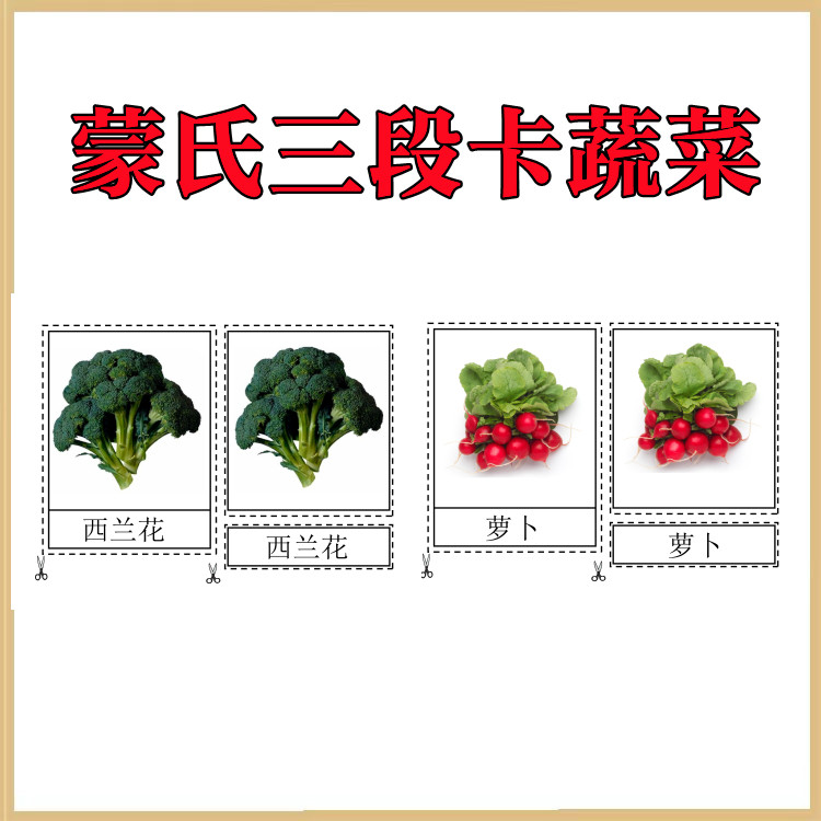 蒙特梭利蒙氏三段卡【蔬菜三段卡】蒙氏语言教具蒙氏教案蒙氏课程