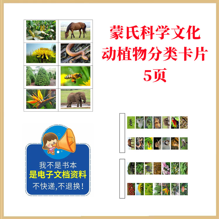 蒙特梭利蒙氏科学【动植物分类卡片】蒙氏作业纸蒙氏课程蒙氏教具