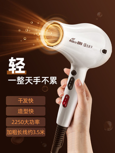 艾信8010电吹风机大功率负离子护发廊发型师专用静音速干家用风筒