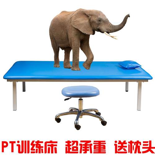 Pt床训练床PT训练床pt康复训练床康复师用床康复床pt床送枕头