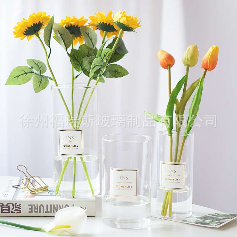 北欧ins风简约花瓶矮款玻璃瓶创意文艺水培透明现代插花摆件