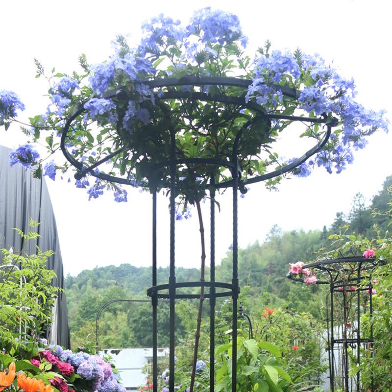 不锈钢拱门花架爬藤架拱形月季架子葡萄爬藤架花园户外菜棚支撑架图片