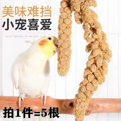 鹦鹉谷穗带壳黄谷子小米玄凤虎皮鹦鹉饲料文鸟鸟粮鸟食仓鼠粮零食