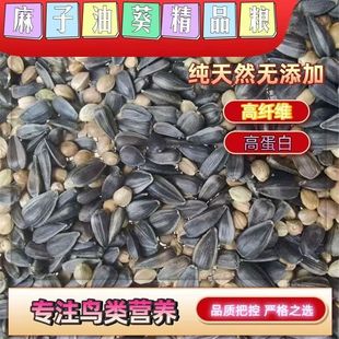 二合一麻子油葵小太阳玄凤鸟粮混合粮鹦鹉鸟粮鸟食宠物粮仓鼠鸽粮