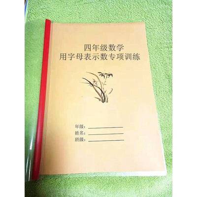 字母表示数专项训练习数学