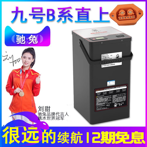 9号B系B110P48v电动车驰兔