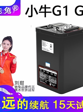 驰兔小牛F1电动摩托车电池F2狗娃G1 G2 F400T大容量锂电池B2/F2