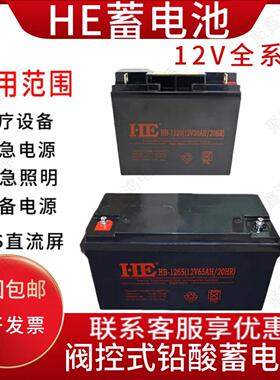 HE蓄电池12V100AH消防7AH8AH9AH17AH24AH40AH65AH机房/UPS/直流屏