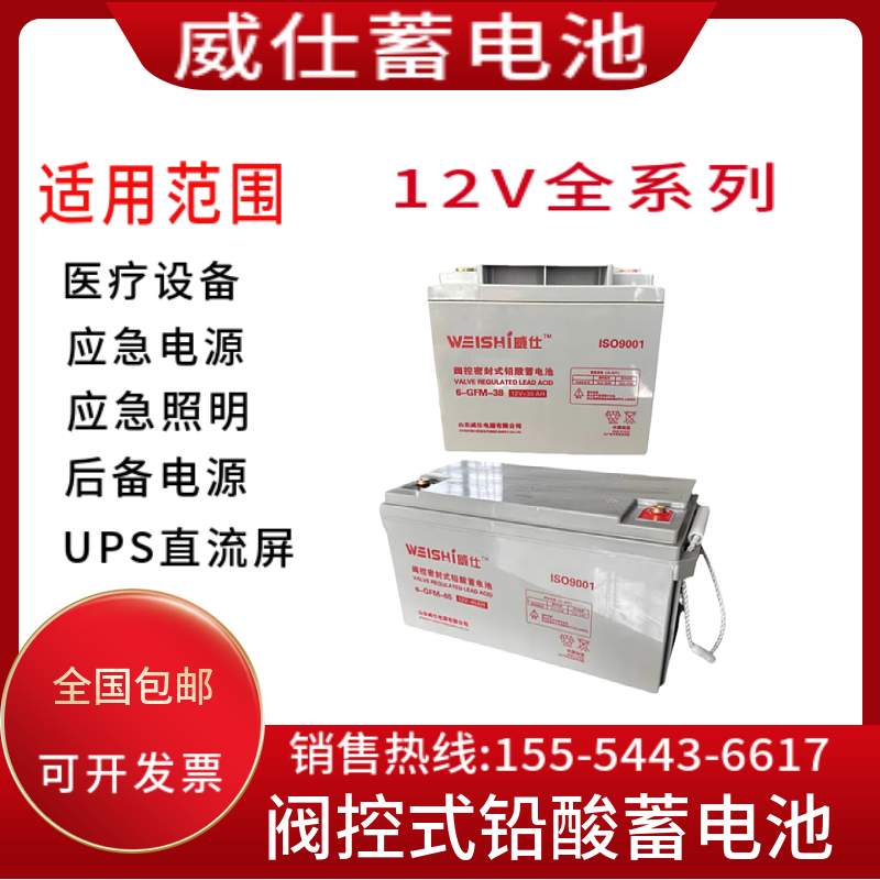 威仕蓄电池12V7A12A17A24A38A65A免维护铅酸计算机消防门禁发电站