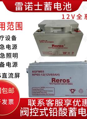 Reros雷诺士蓄电池NP100-12现货供应12V24A38A65A100A120A通讯EPS