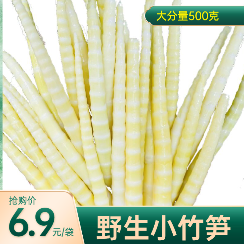 新鲜清水小竹笋现挖四川火锅食材