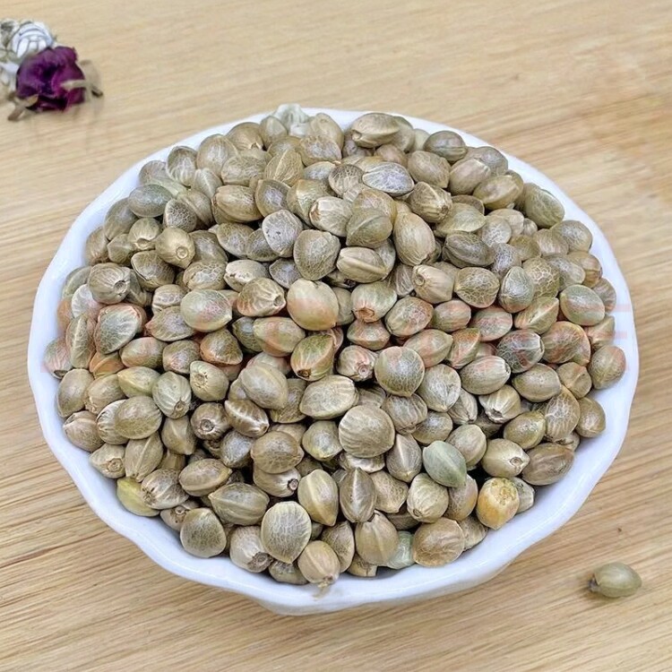 大颗粒火麻子/麻籽/火麻仁鹦鹉