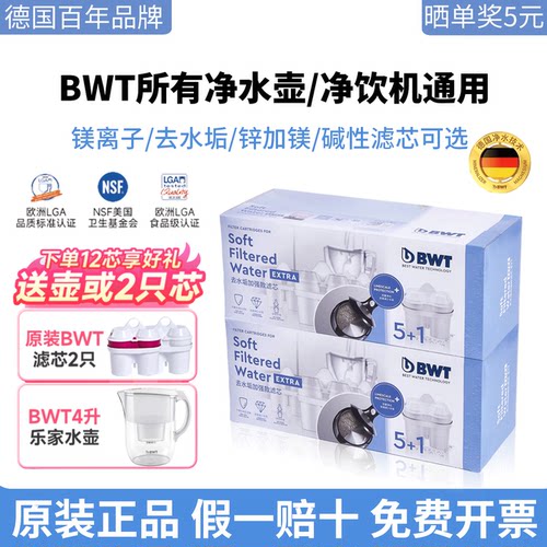 德国倍世BWT净水壶去垢加强滤芯